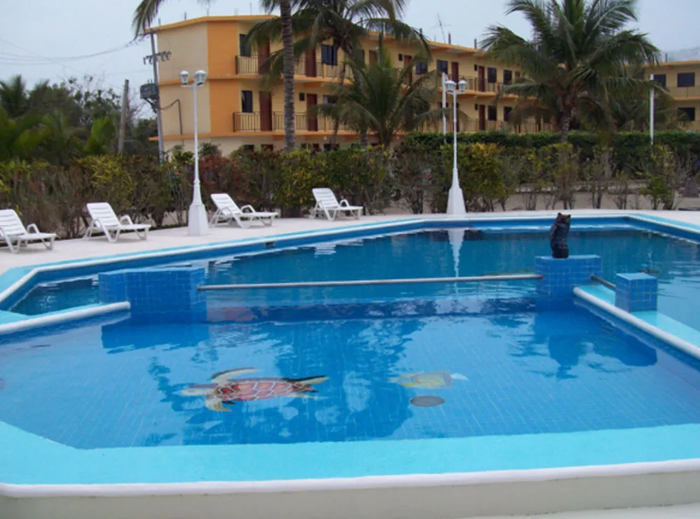 Imagen 2