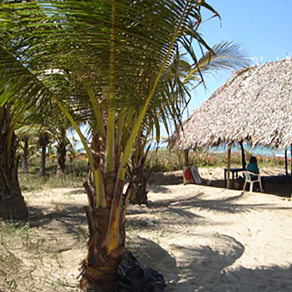 galeria 1