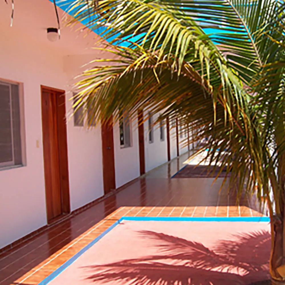 galeria 11