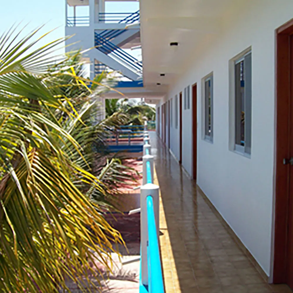 galeria 14