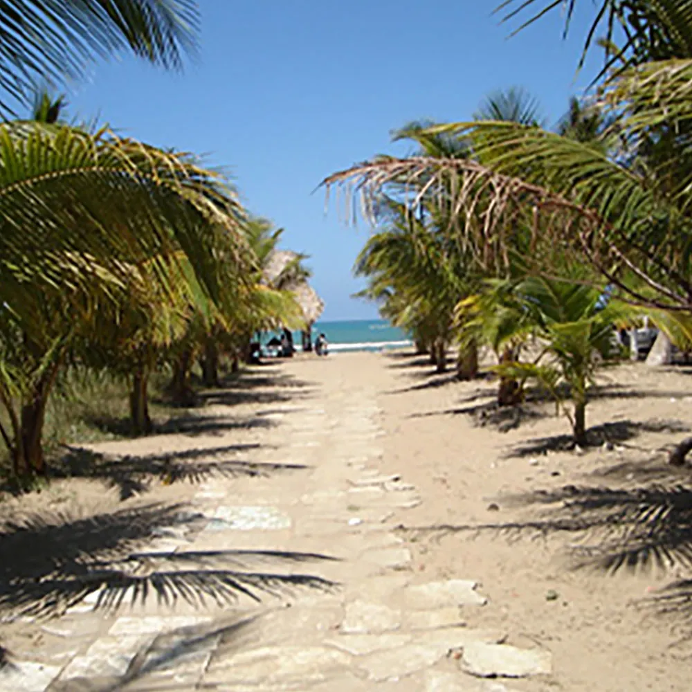 galeria 9